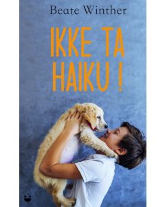 Ikke ta Haiku - Beate Winther
